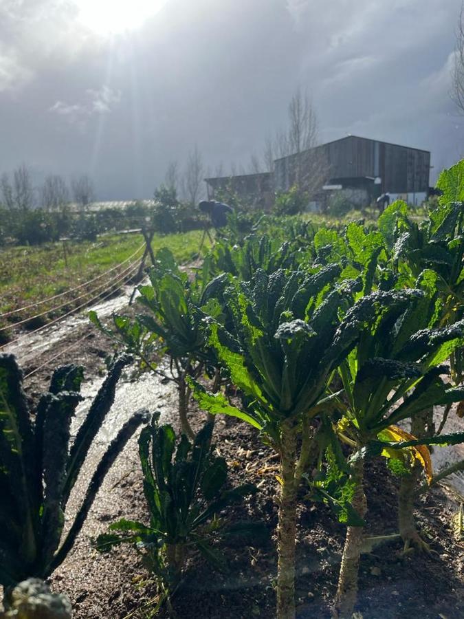 Eikelaan Farm Farm stay