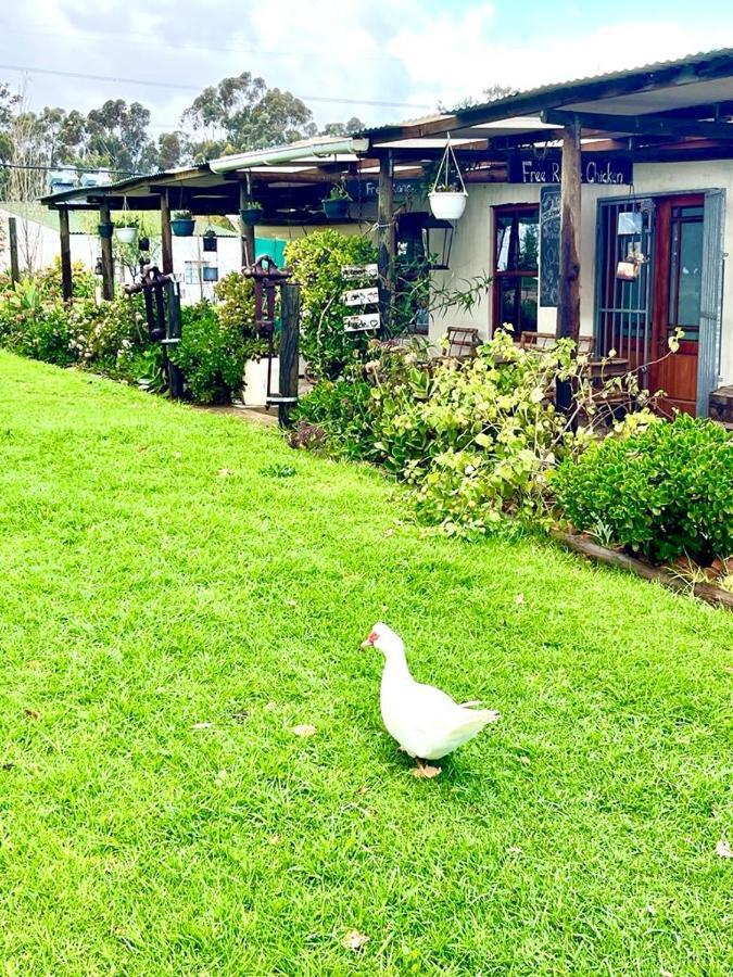 Farm stay Eikelaan Farm Tulbagh