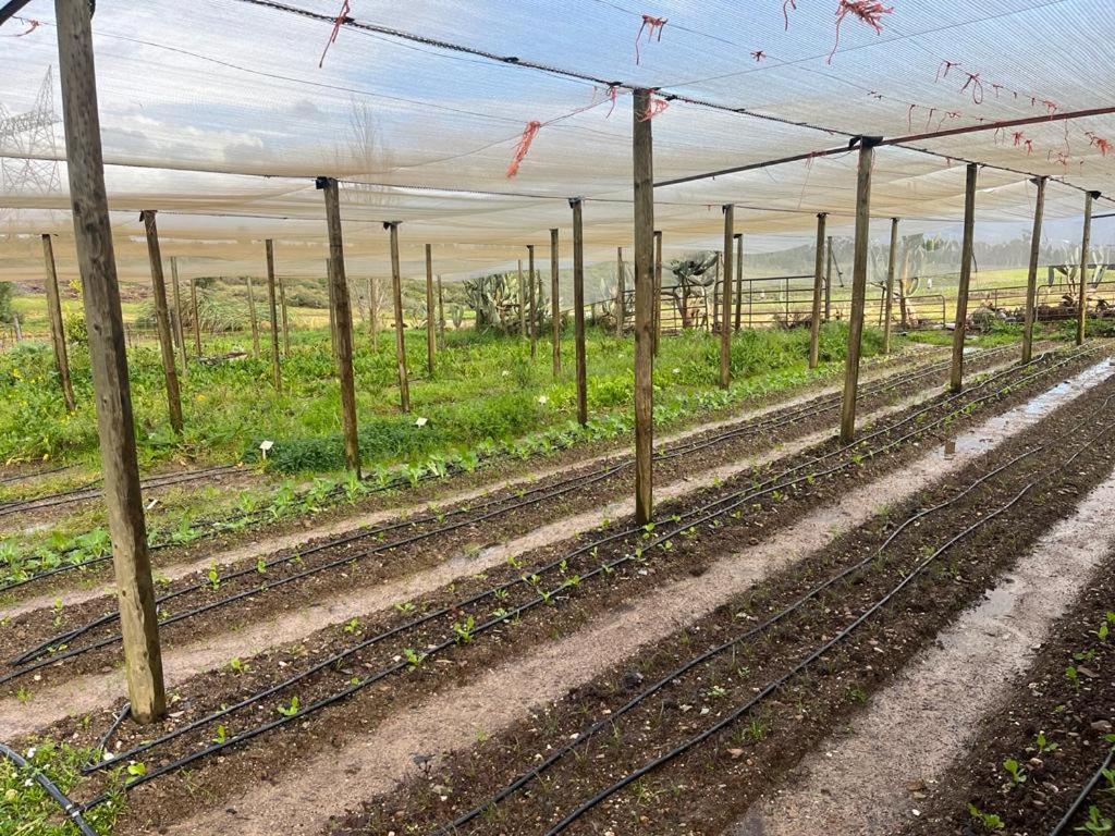 Eikelaan Farm Farm stay Tulbagh