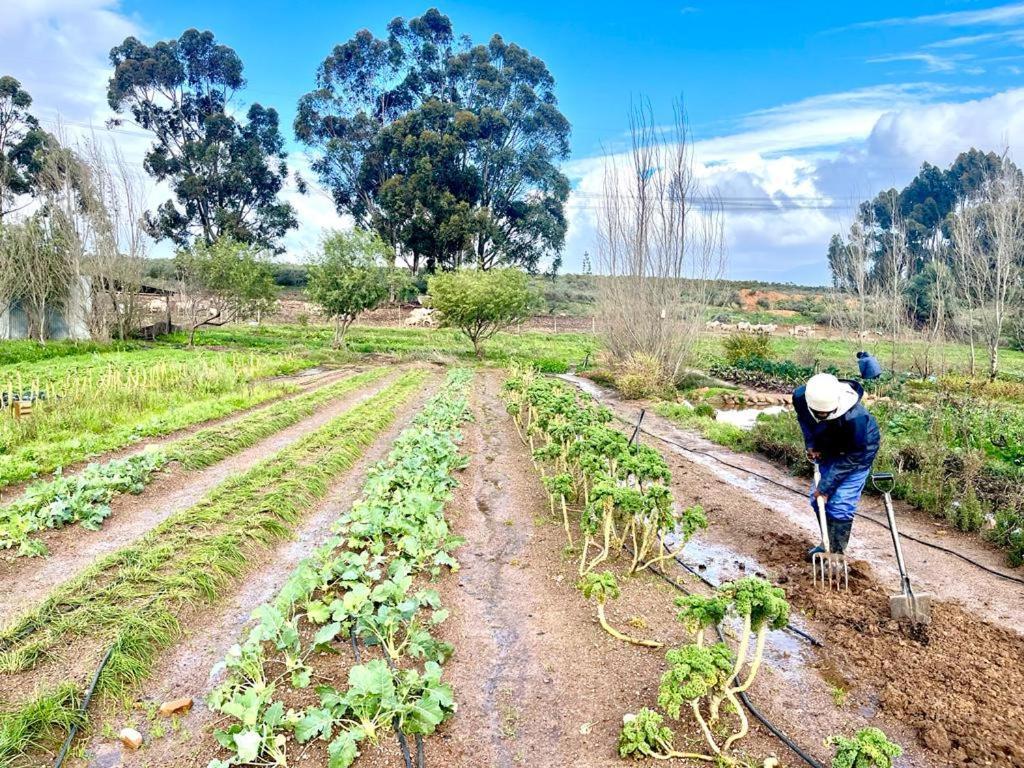 Eikelaan Farm * Tulbagh