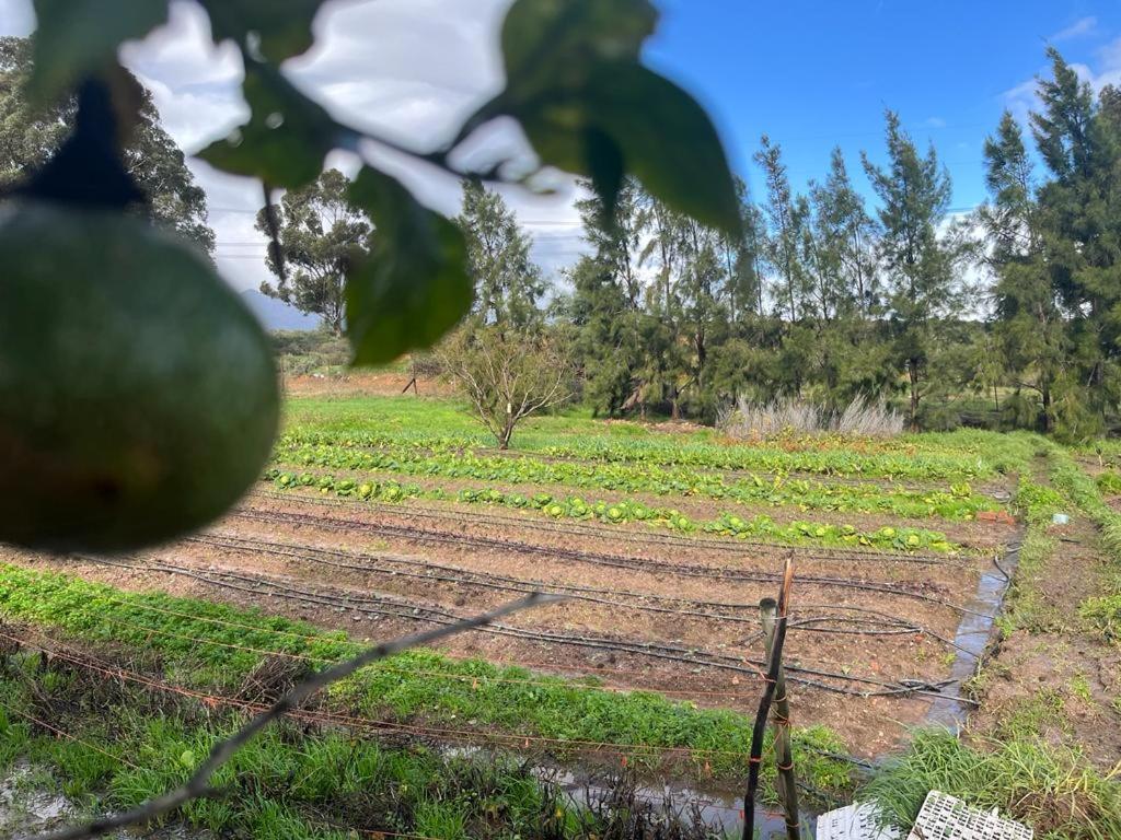 Eikelaan Farm * Tulbagh