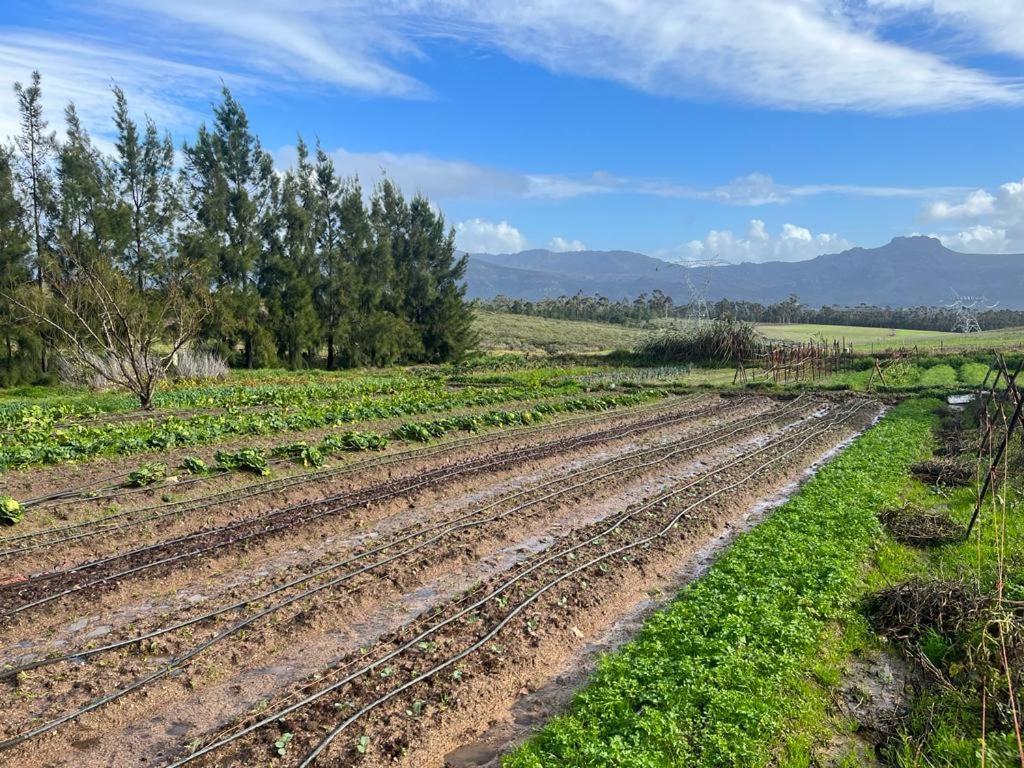 Eikelaan Farm Farm stay