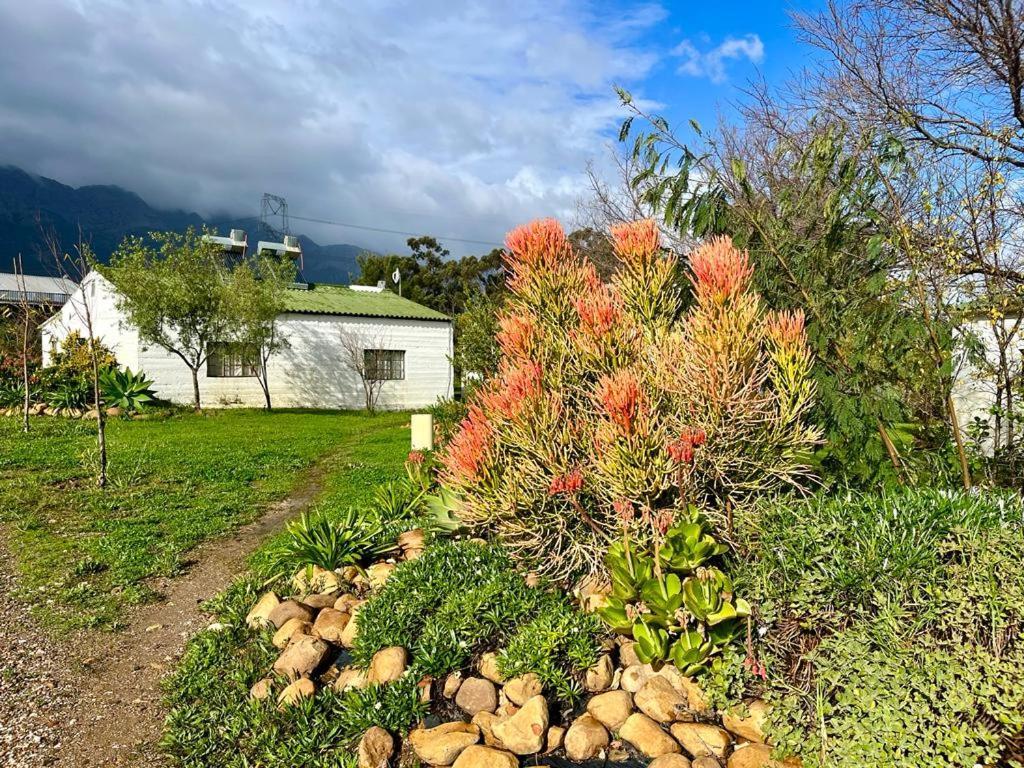 Farm stay Eikelaan Farm Tulbagh