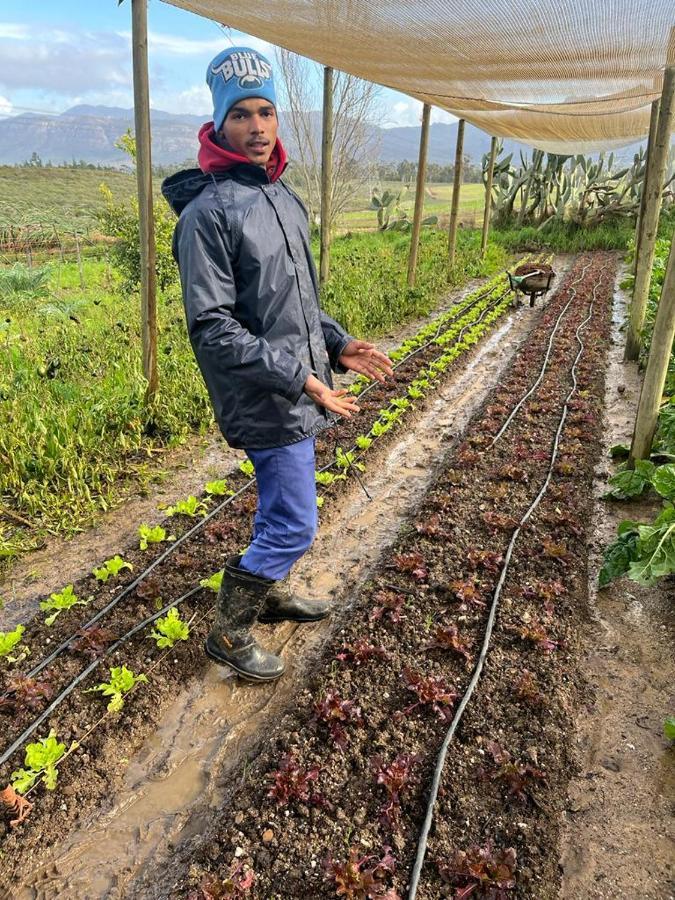 Eikelaan Farm Farm stay *