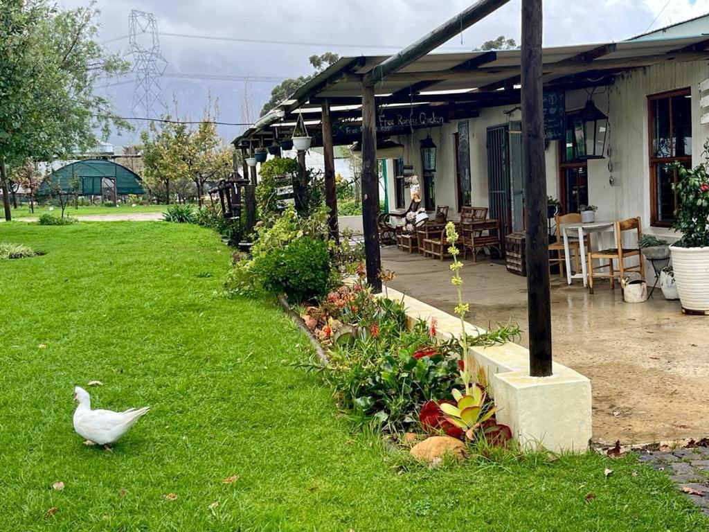 Farm stay Eikelaan Farm Tulbagh